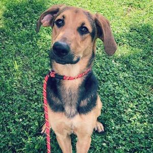 Image post by @wkrntv on Instagram