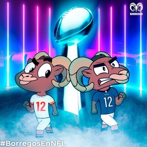 Image post by @borregostec on Instagram
