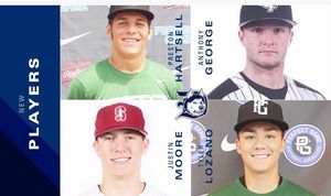 Image post by @duluthhuskies on Instagram