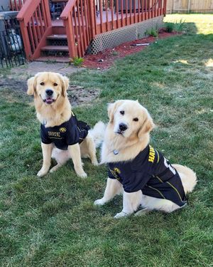 Image post by @iowaadmissions on Instagram