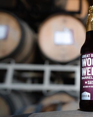 Image post by @greatdividebrew on Instagram