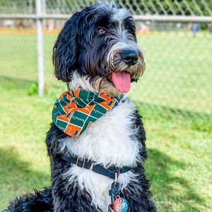 Image post by @univmiami on Instagram