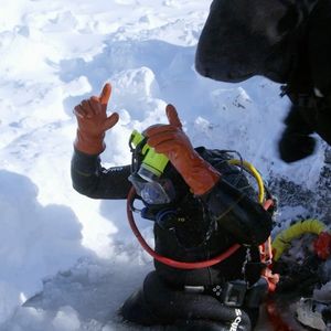 Image post by @discovery on Instagram