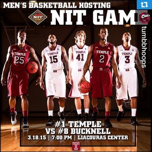 Image post by @templeowls on Instagram
