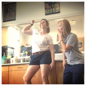Image post by @yalesoftball on Instagram