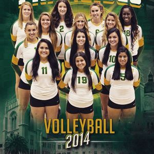Image post by @usfdonsvb on Instagram