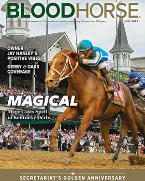 Image post by @thebloodhorse on Instagram
