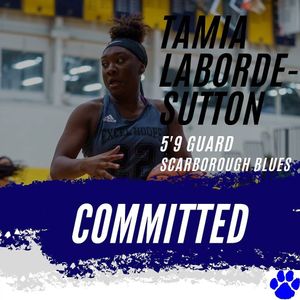 Image post by @onpointbasketball on Instagram