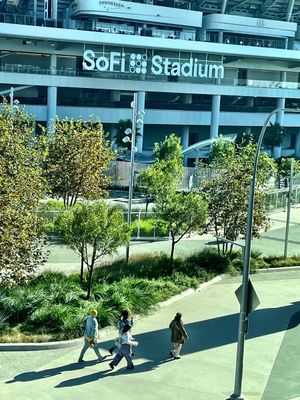 Image post by @ricksavage on Twitter