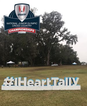 Image post by @usatf on Instagram
