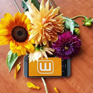 Image post by @wattpad on Instagram