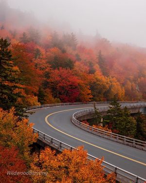 Image post by @nationalparkscollective on Instagram