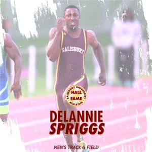 Image post by @suseagulls on Instagram