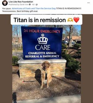 Image post by @livelikeroofoundation on TikTok