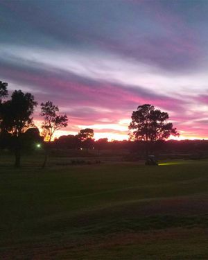 Image post by @glenelggolf on Instagram