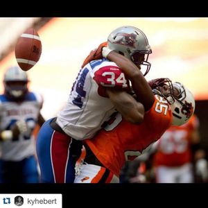Image post by @mtlalouettes on Instagram