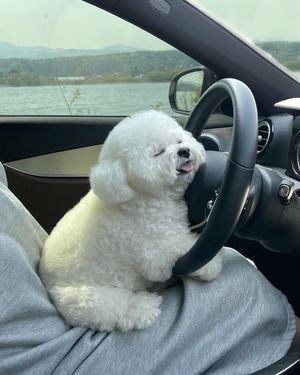 Image post by @9gag on Instagram