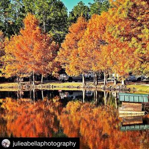 Image post by @stjohnscountylibrary on Instagram