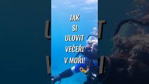 Video post by @jonasederfishing on YouTube