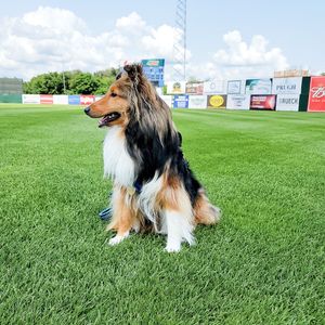 Image post by @burlington_bees on Instagram