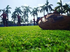 Image post by @fausoftball on Instagram