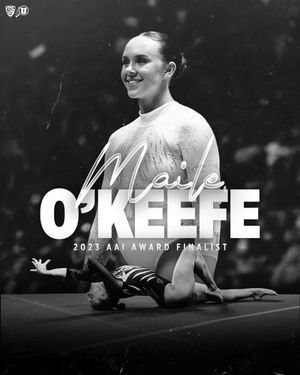 Image post by @UtahGymnastics on Twitter