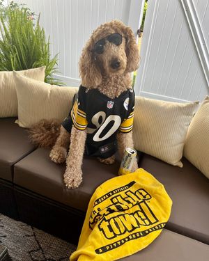 Image post by @steelers_nation_unite on Instagram