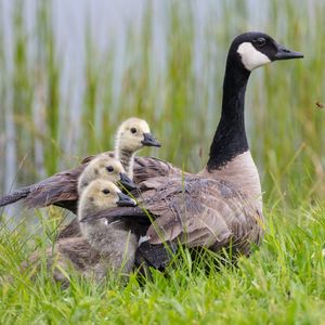 Image post by @nationalparktrust on Instagram