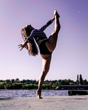 Image post by @uwgymnastics on Instagram