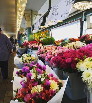 Image post by @amandakl on Instagram