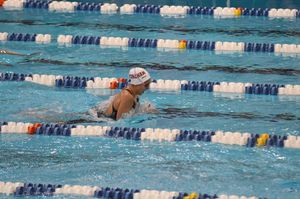 Image post by @fordhamswimdive on Instagram