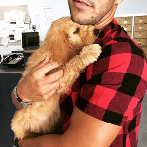 Image post by @therealcarlospena on Instagram