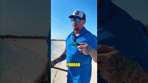 Video post by @fuse_lenses on YouTube