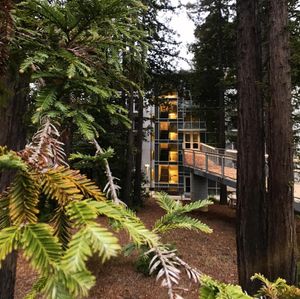 Image post by @ucsc on Instagram