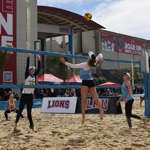 Image post by @lmulionsbeach on Instagram