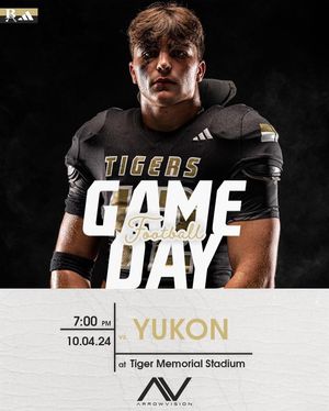 Image post by @bahstigers on Instagram