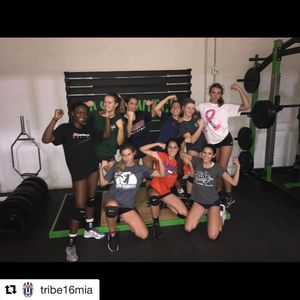 Image post by @mytribevolleyball on Instagram