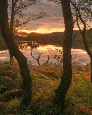 Image post by @VisitScotland on Twitter