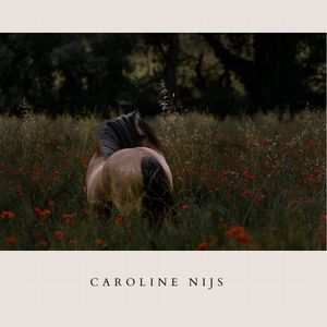 Image post by @picz.ch on Instagram