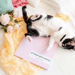 Image post by @saal_digital on Instagram