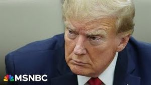 Video post by @msnbc on YouTube