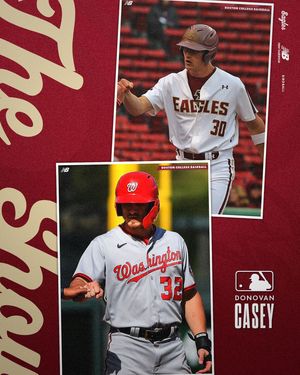 Image post by @bcbirdball on Instagram