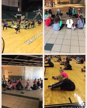 Image post by @charlotte49ersgolddusters on Instagram