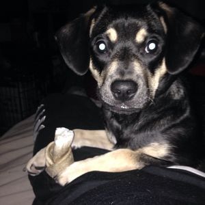 Image post by @_nomoney_11b on Instagram