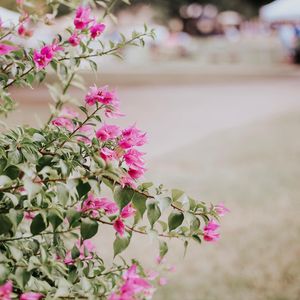 Image post by @acuedu on Instagram