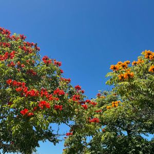 Image post by @radicalriss on Instagram