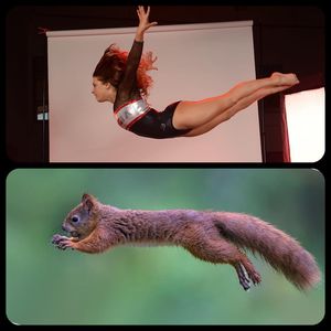 Image post by @ugagymnastics on Instagram