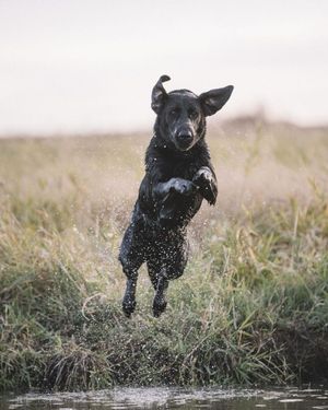 Image post by @yeti on Instagram