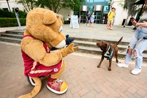 Image post by @collegeofcharleston on Instagram