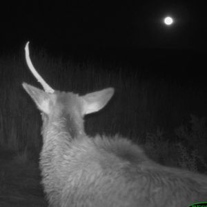Image post by @nationalparkservice on Instagram